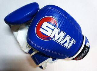 Kids Gloves